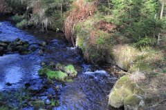 Šumava - horská bystřina