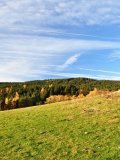 Šumava - podzimní pastviny - Popelná hora