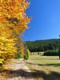 Šumava hrající barvami - cesta na Boubín