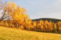 Šumava na podzim - Javorník